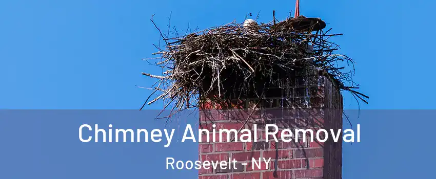 Chimney Animal Removal Roosevelt - NY