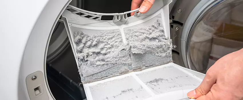Best Dryer Lint Removal Company in Roosevelt, New York