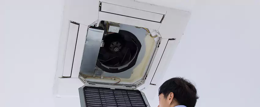 Benefits of Professional Air Duct Cleaning in Roosevelt, New York